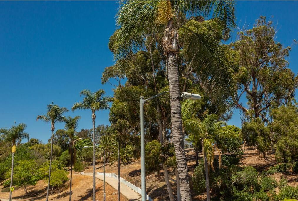 Cozy Studio Next To San Diego Dt And Balboa Park Екстер'єр фото